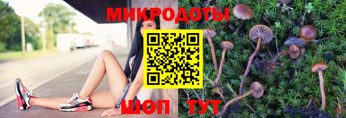 Галлюциногенные грибы GOLDEN TEACHER Аргун
