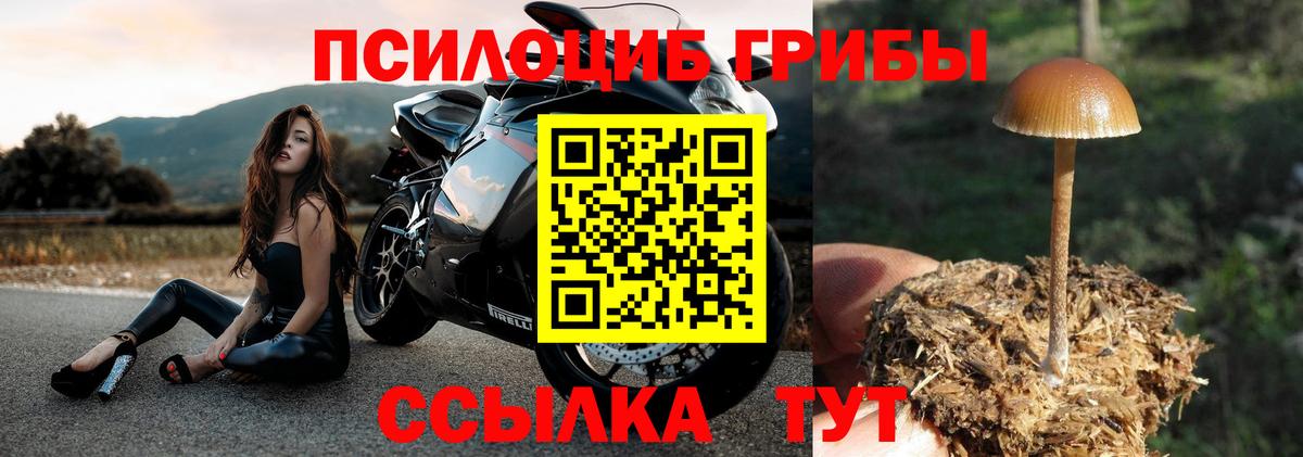 Аргун  Псилоцибиновые грибы ЛСД  Вход с VPN 